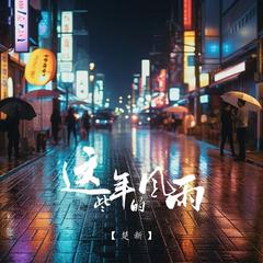 这些年的风雨(伴奏)