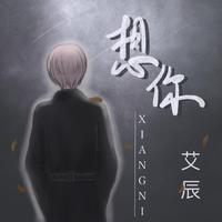 艾辰 - 想你(原版立体声伴奏)
