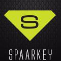 Spaarkey