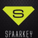 Spaarkey