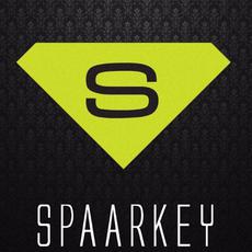 Spaarkey