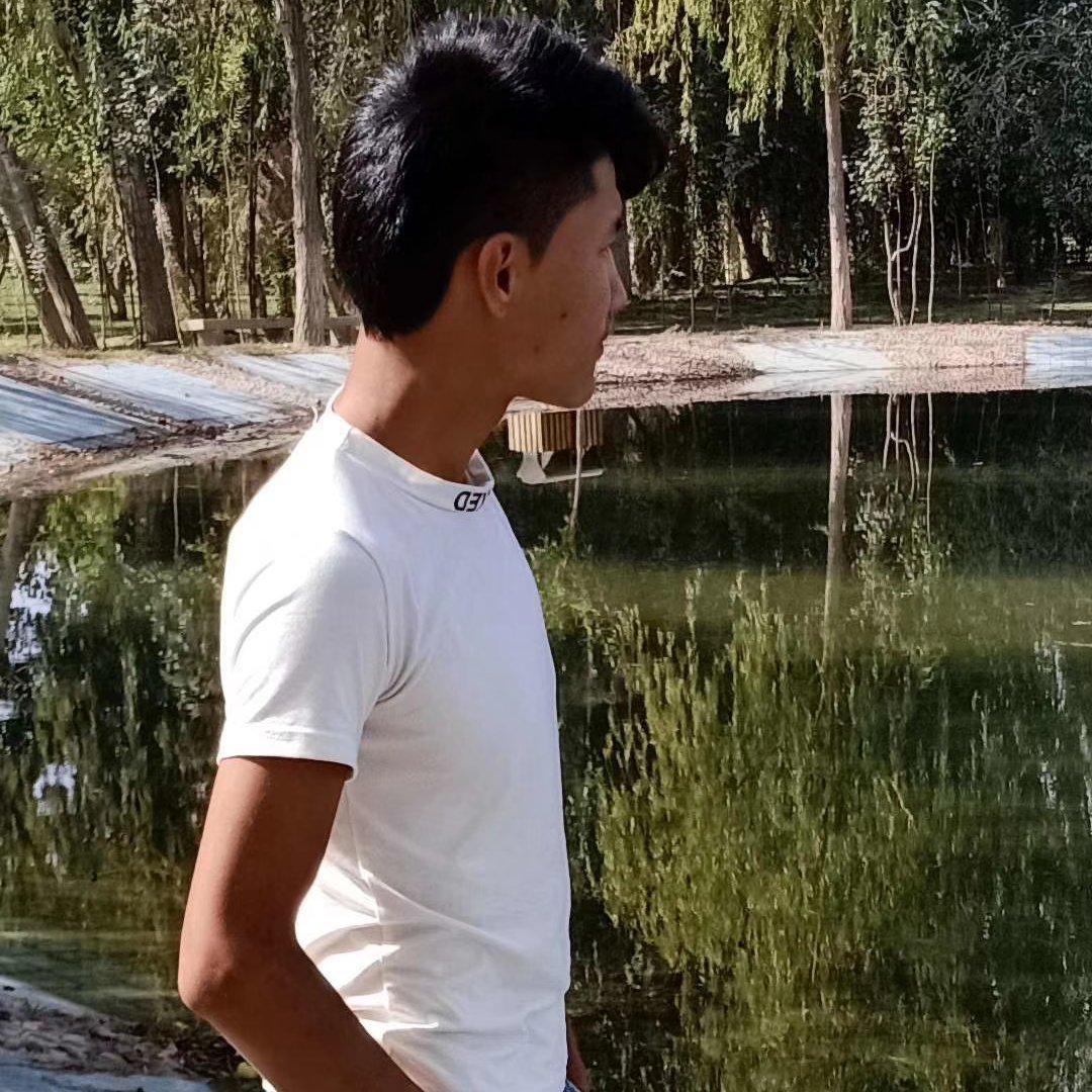 群星-EsiT Sanga Koyganlirm（Halip-offical Remix）