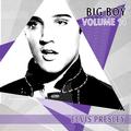 Big Boy Elvis Presley, Vol. 14