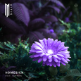 Homesick (feat. SOUNDR)