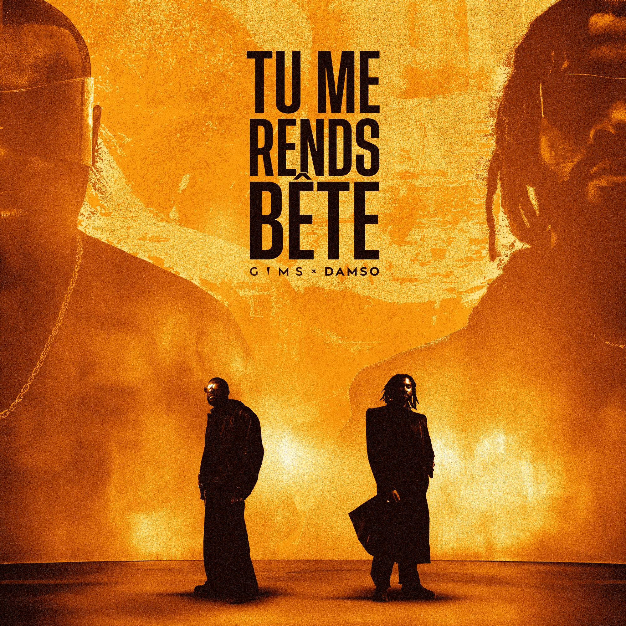 TU ME RENDS BÊTE