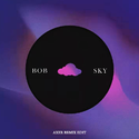 Sky（Axer Remix Edit）