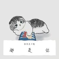 都是你 dj欧东Remix伴奏