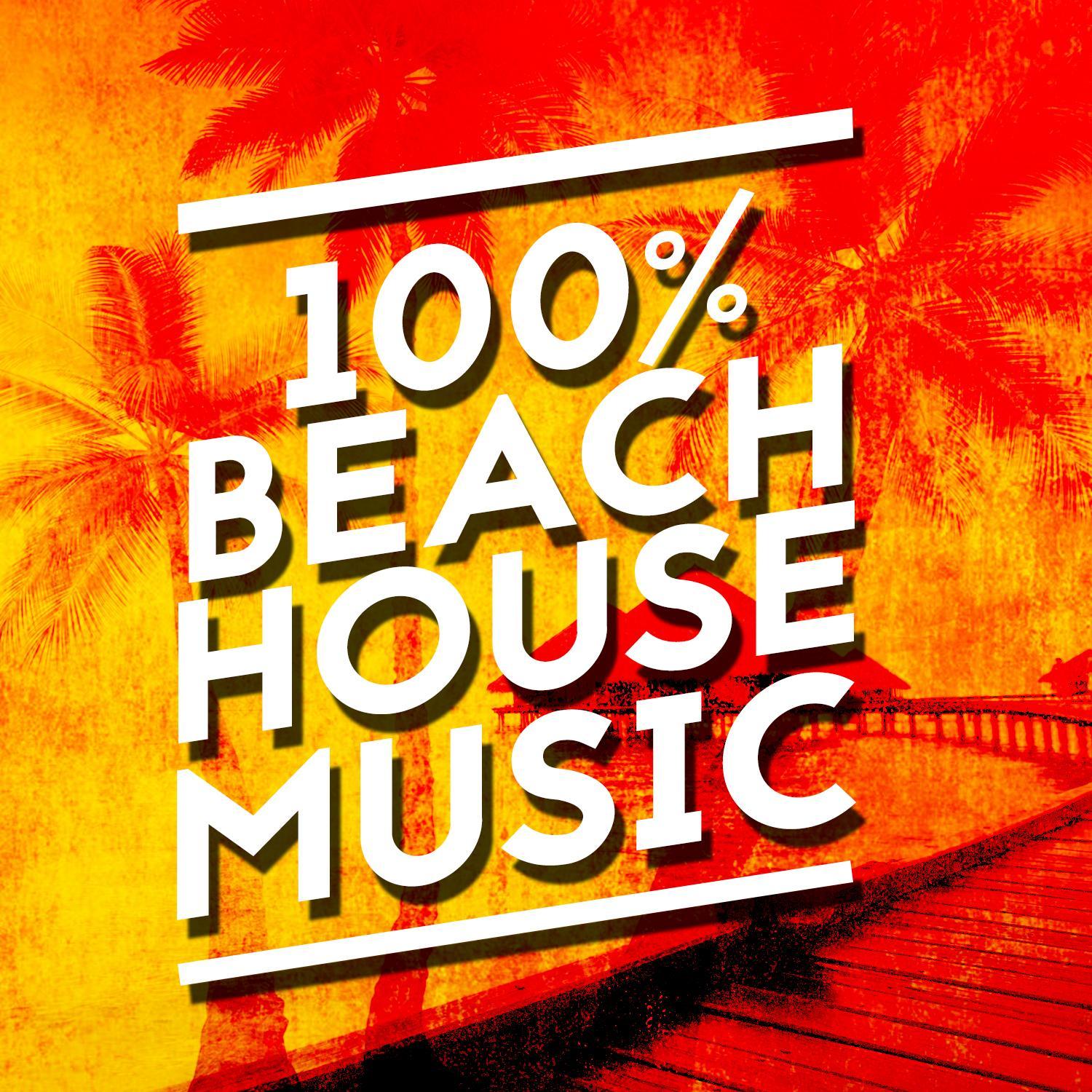 vixen - beach house club music - 单曲 - 网易云音乐