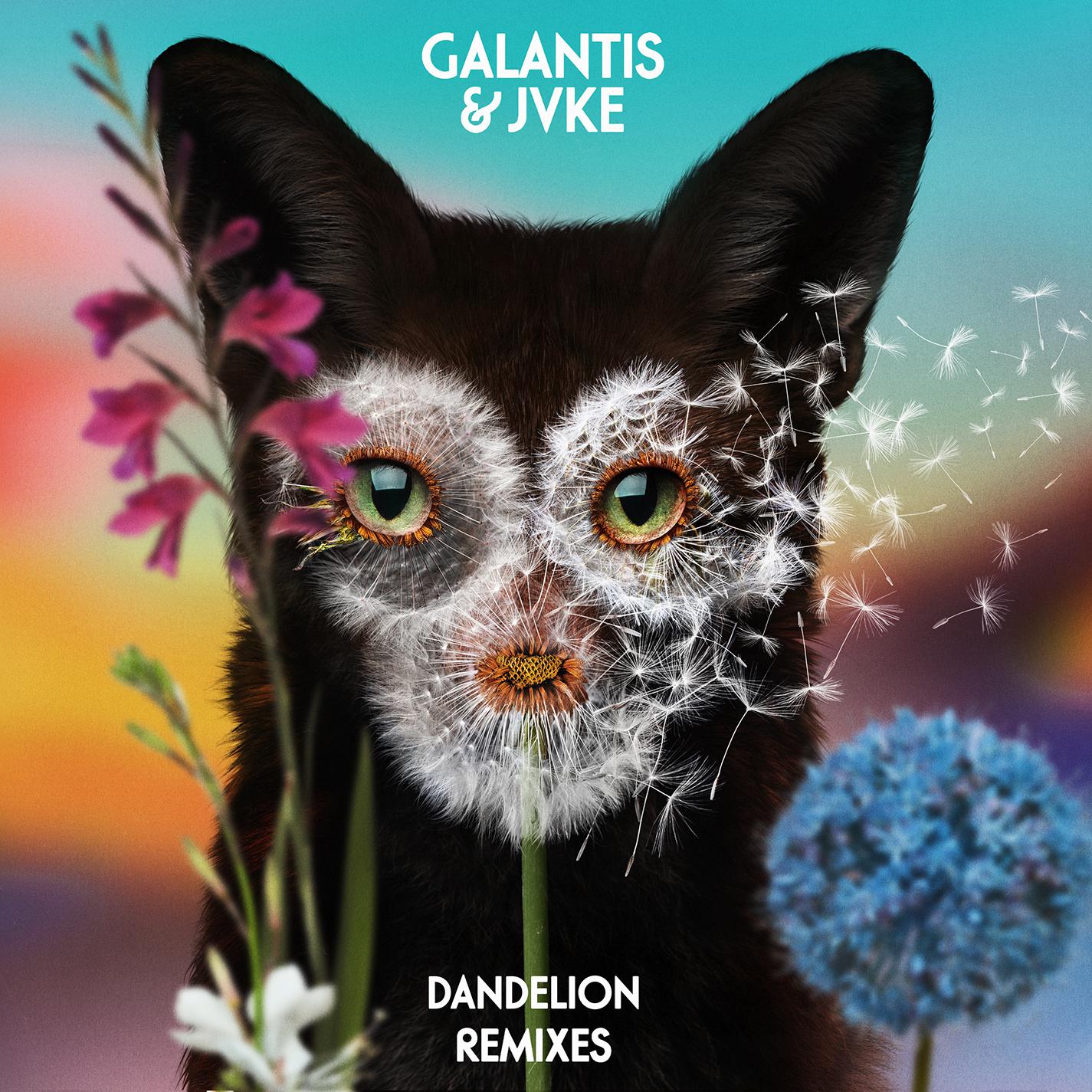 Dandelion (Remixes)专辑