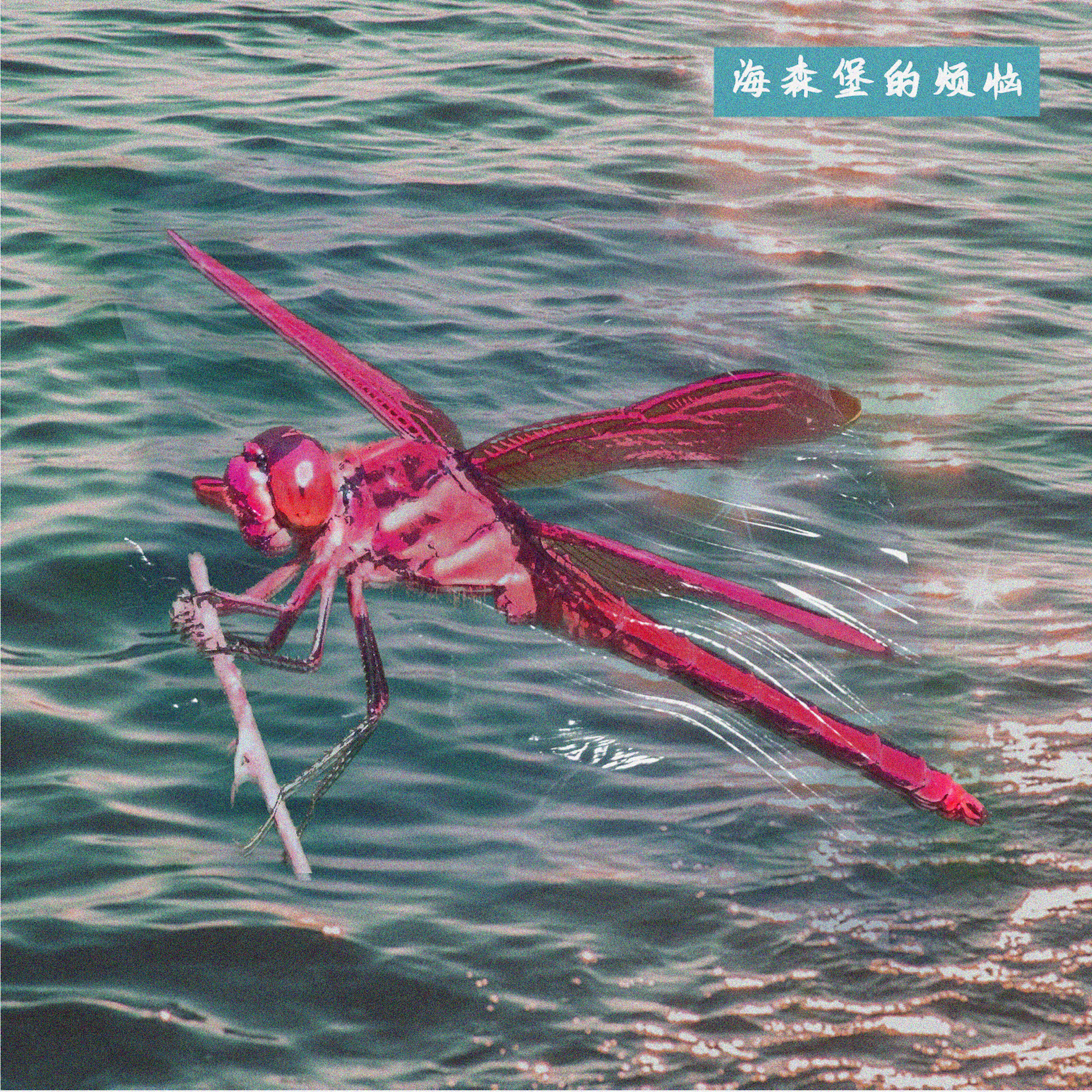 海森堡的烦恼