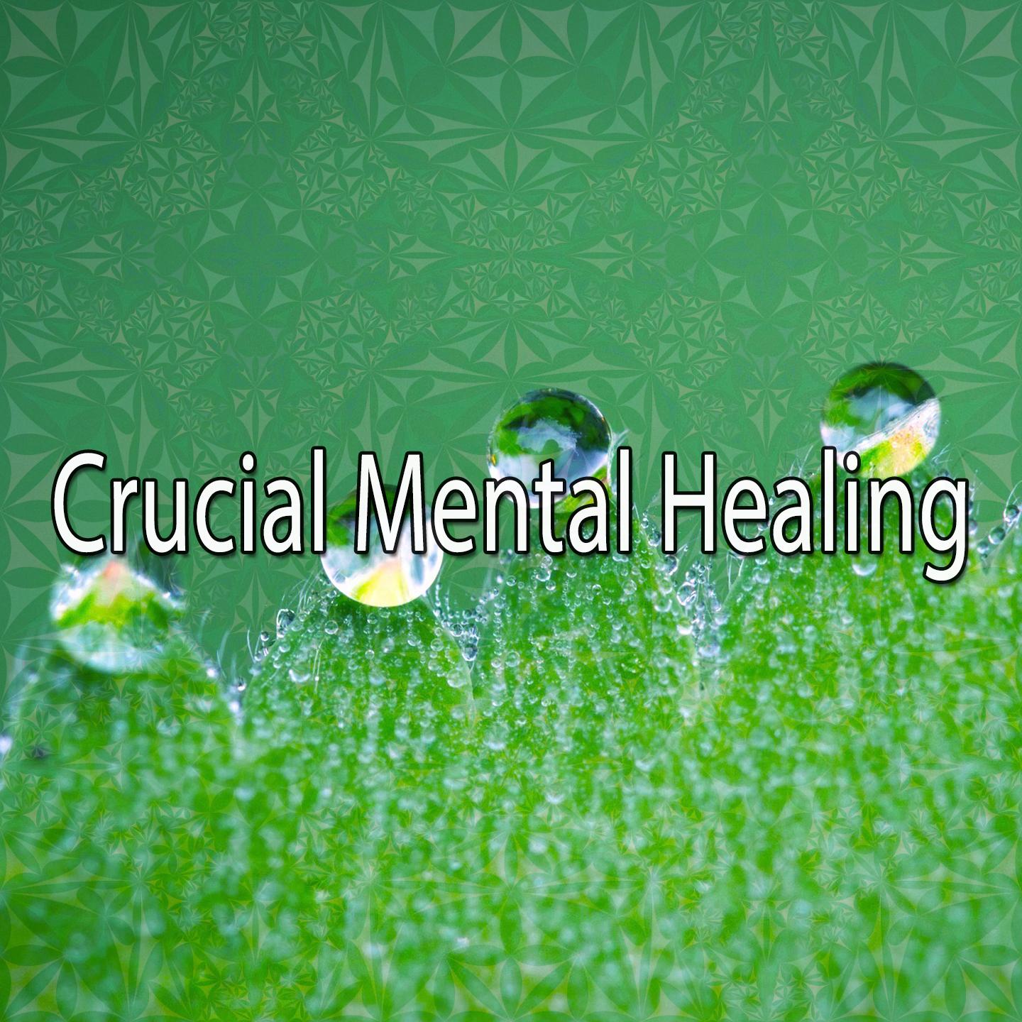 Crucial Mental Healing专辑