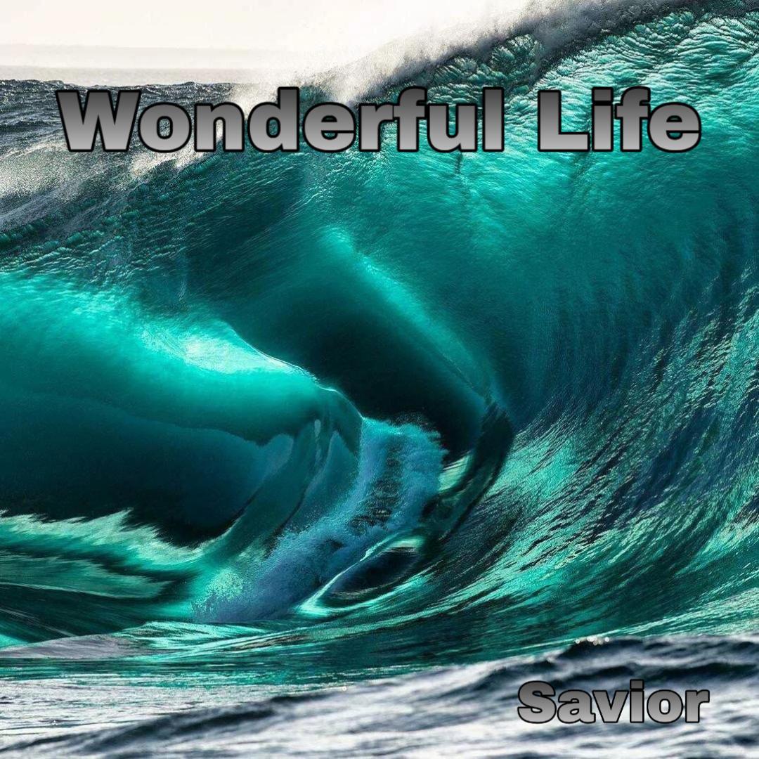 Wonderful Life