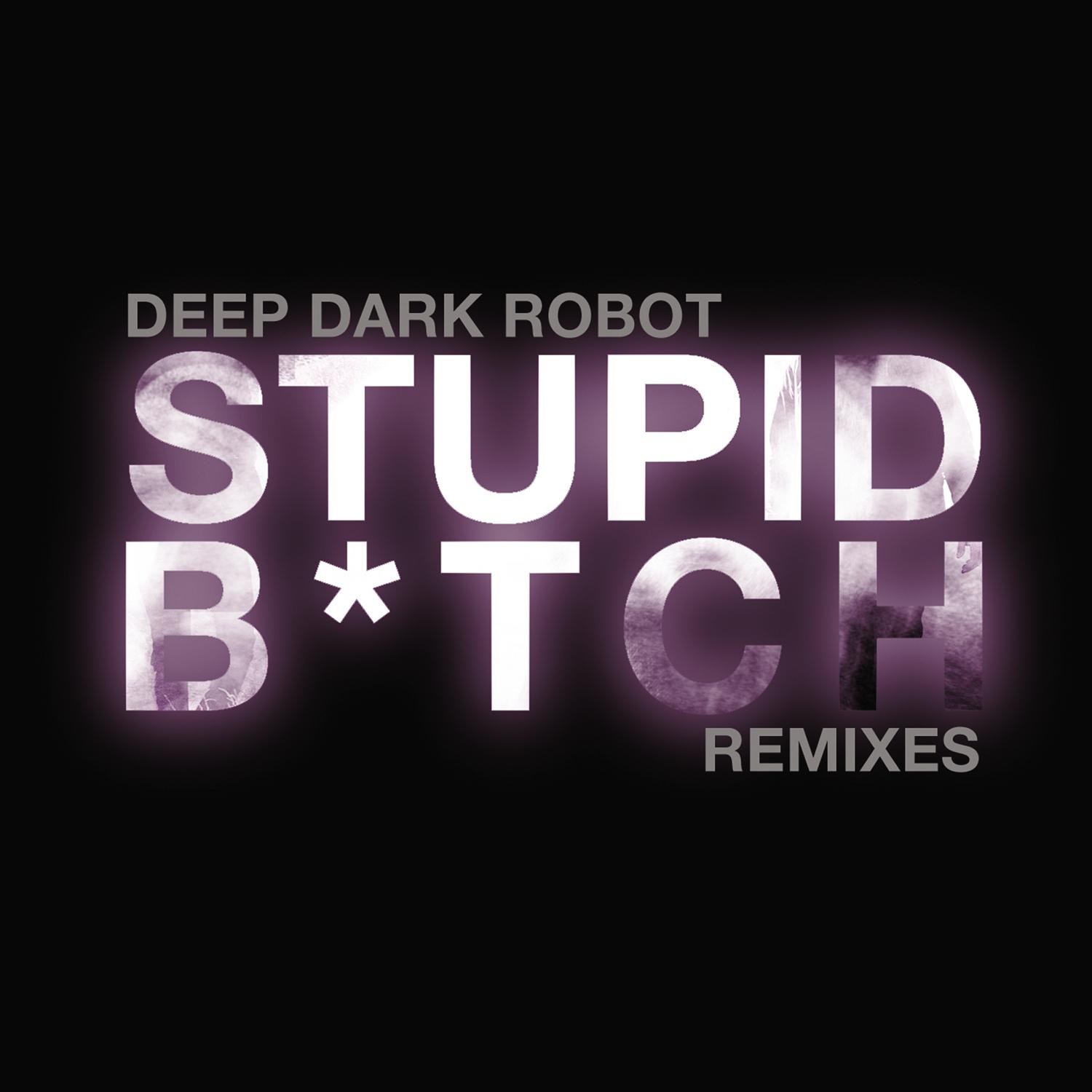 Stupid ***** (Remixes)