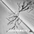 COVERMIND II