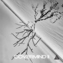 COVERMIND II专辑