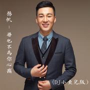 再也不为你心痛 (DJ小鱼儿版)