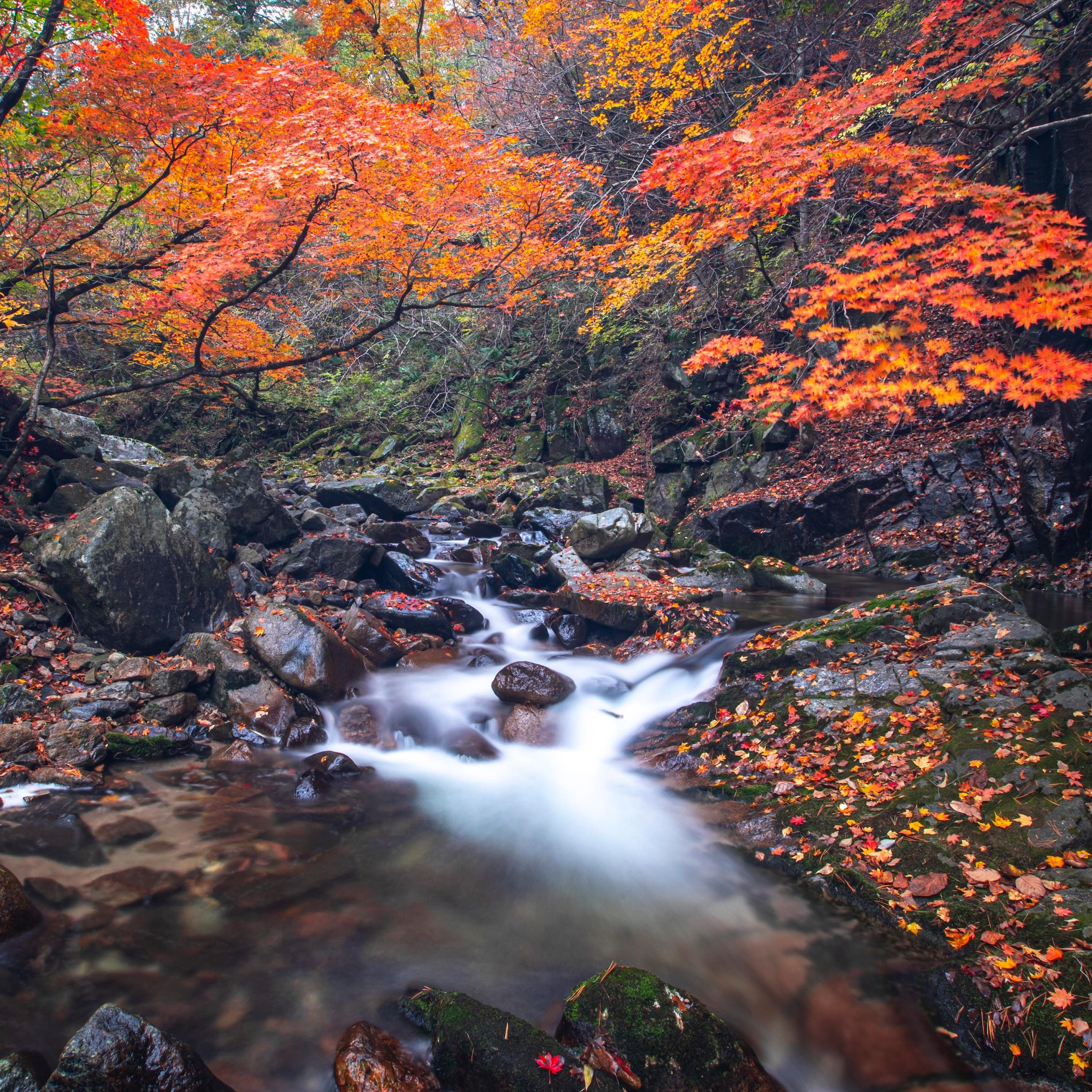 So The River Flows