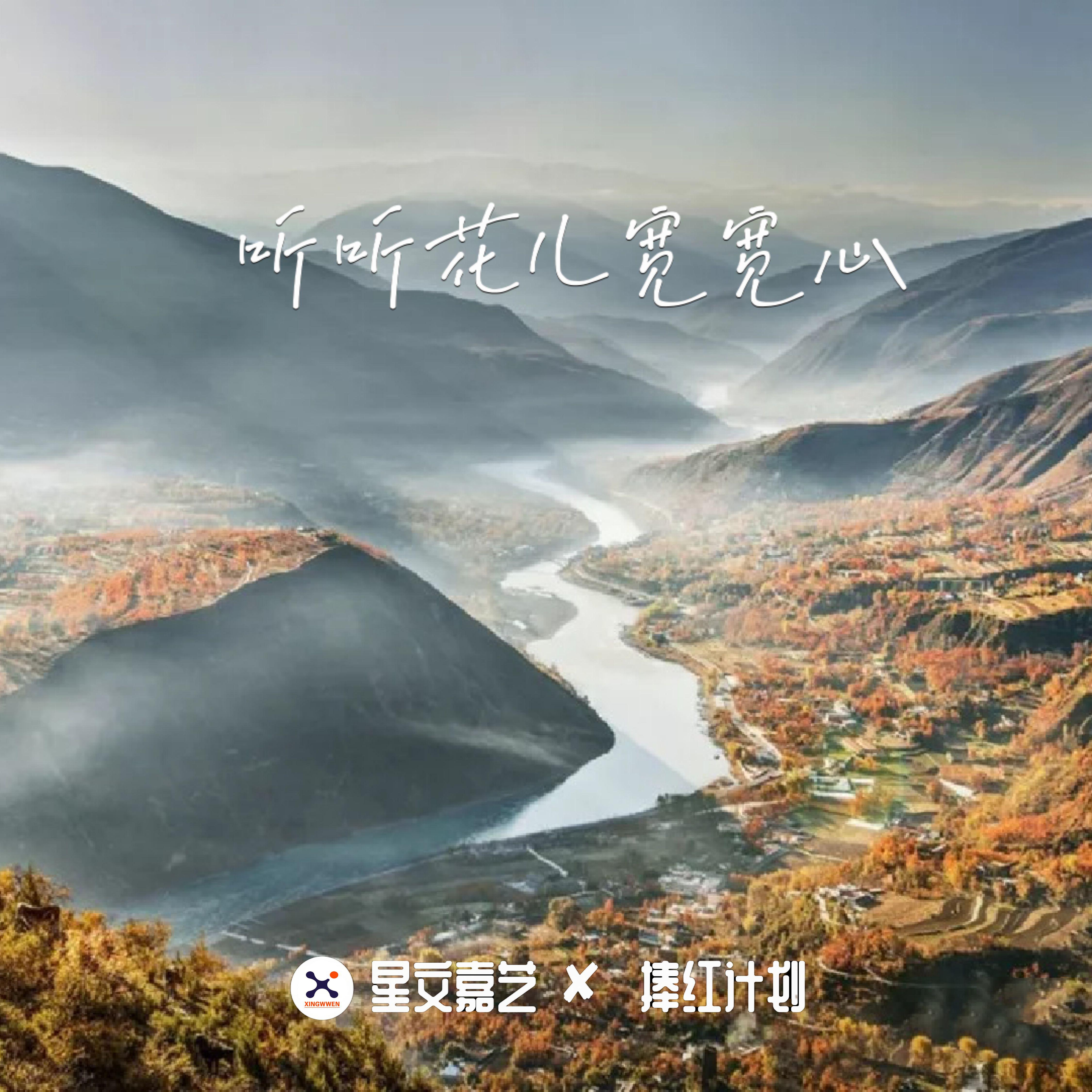 听听花儿宽宽心