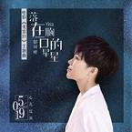专辑《落在胸口的星星》