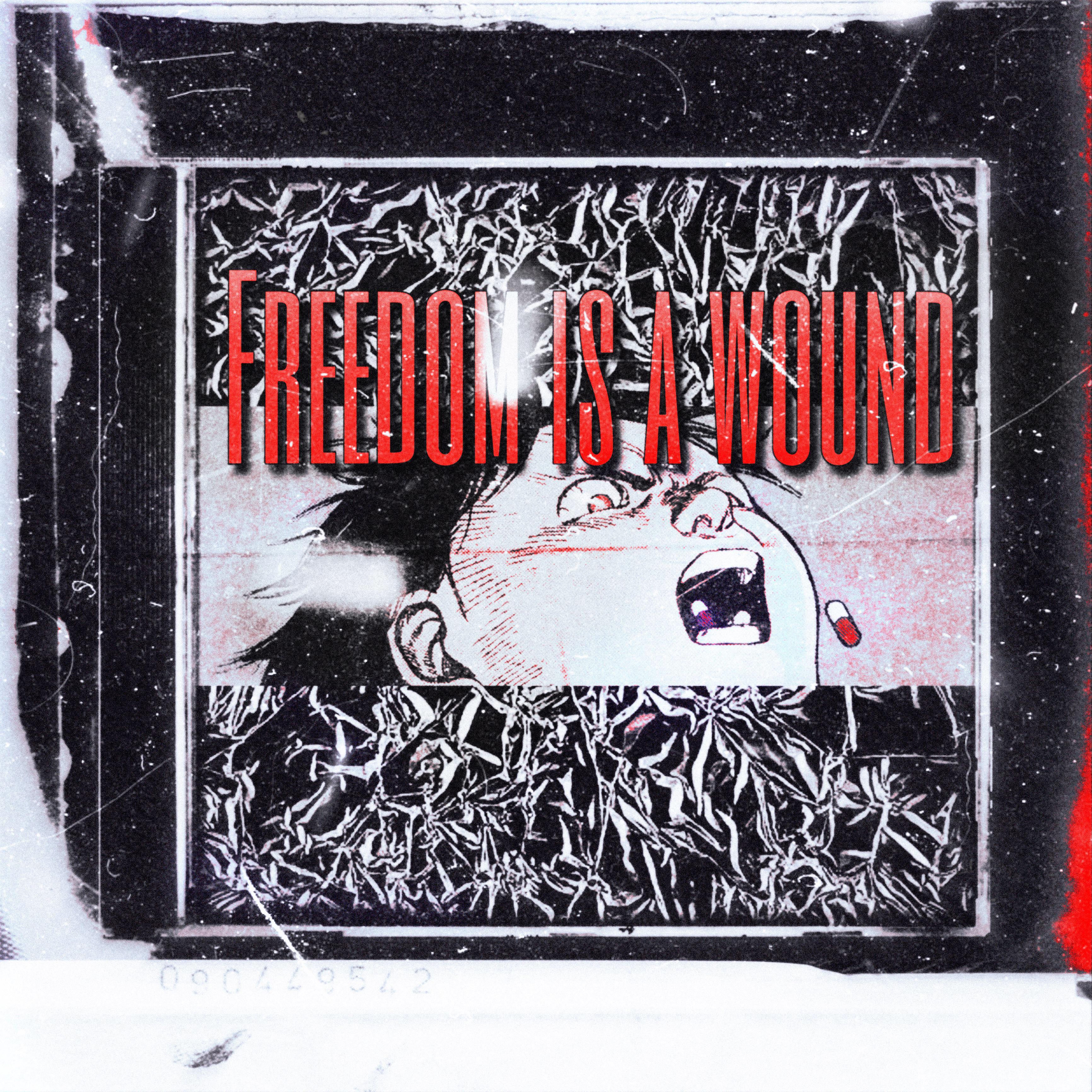 自由本，就是一种伤害（Pro.dJody）