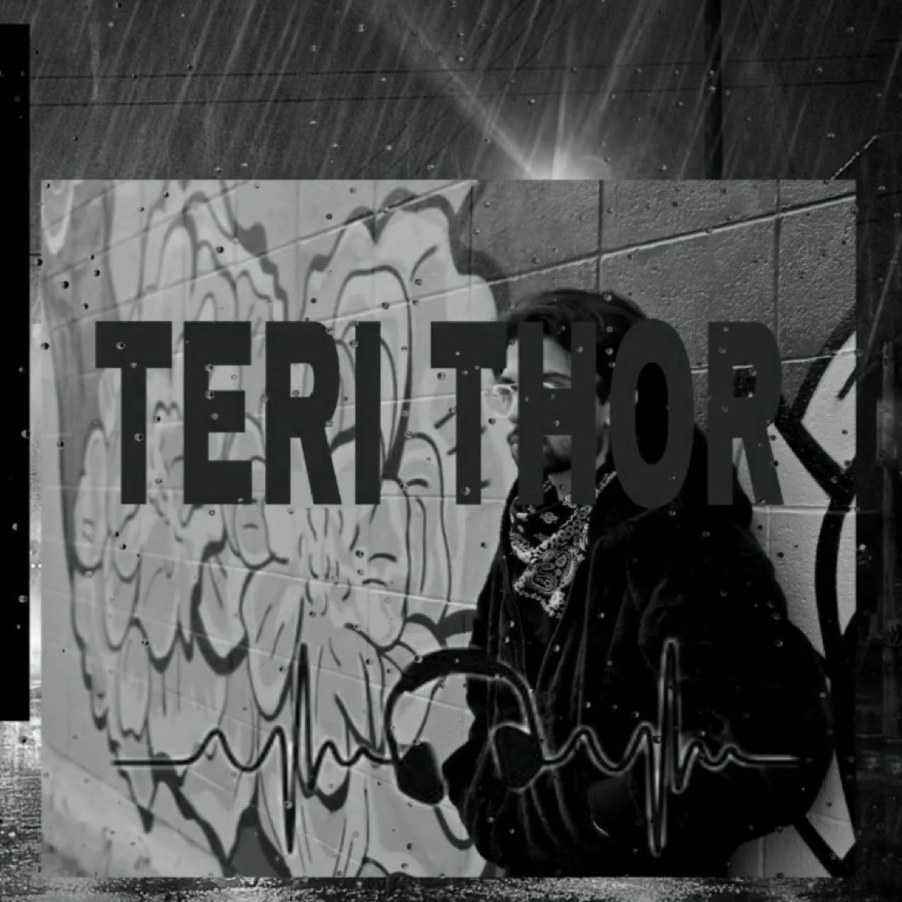 Teri Thor (feat. Qasim Raja Ajmal & extraption beats)