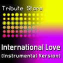 Pitbull feat. Chris Brown - International Love (Instrumental Version)专辑