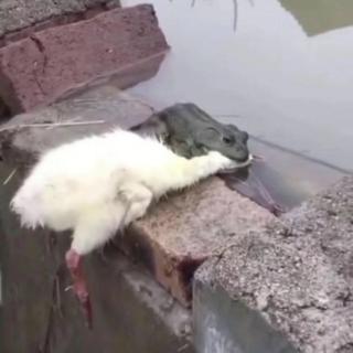 抖音影视混剪专用Bgm