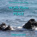 World Flutes chanting for Peace专辑