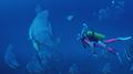 The Undersea World专辑