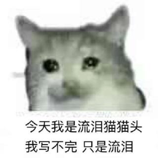 学习专用安静纯音乐