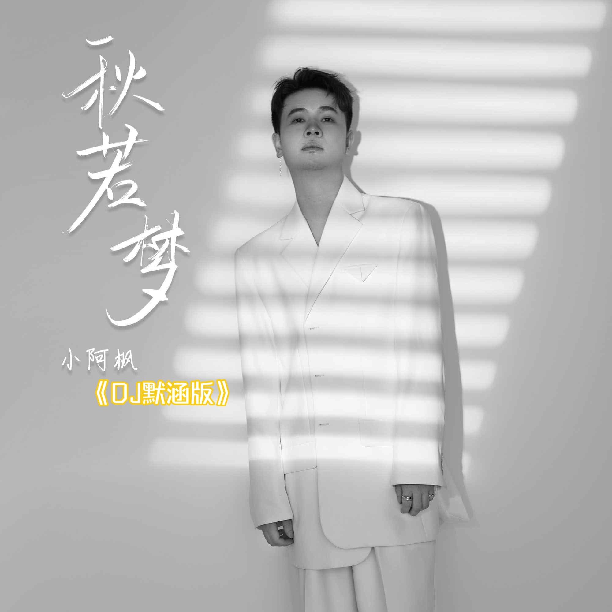 DJ版