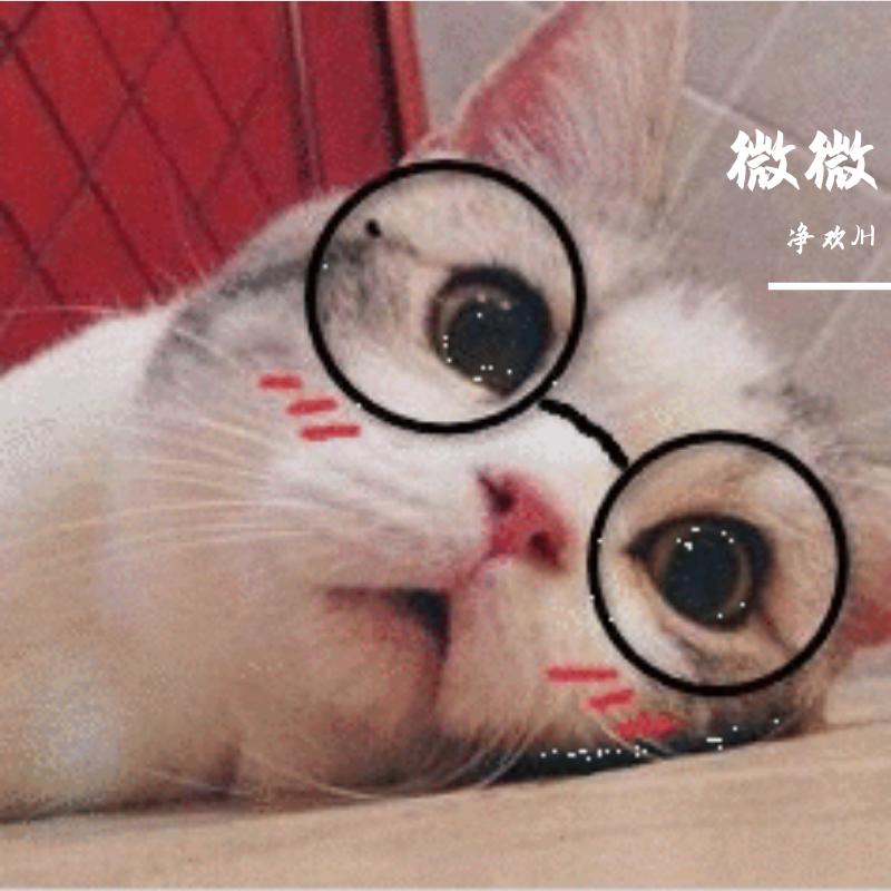 今日份的小lanlan