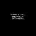Prophecy (Drezo Remix)