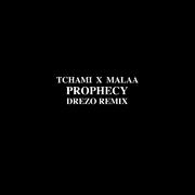 Prophecy (Drezo Remix)