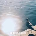 刀枪炮还是葱姜蒜