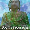 Optimise Your Yoga专辑