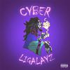 BANY BAK$$ - Ligalayz (Cyber)