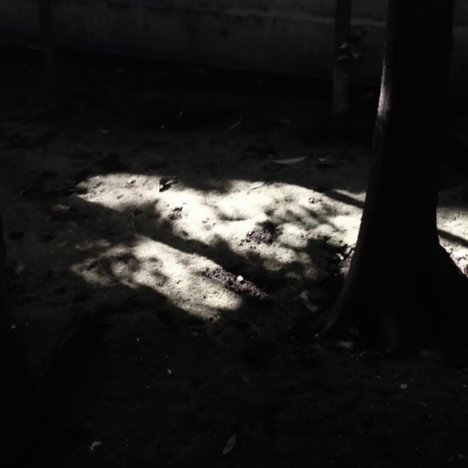 Chill summer piano beat