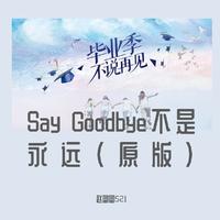 原版伴奏  麻秋虹 - Don't Say Goodbye （精选原版伴奏）