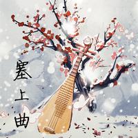 琵琶 - 阳春白雪（范奏）