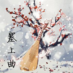 琵琶 - 阳春白雪