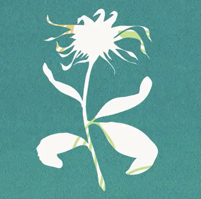 flos（翻自 初音ミク）