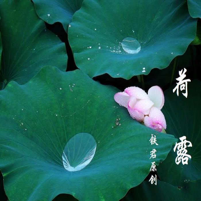 荷露（男缺女伴奏）