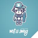 Wot is Swag专辑