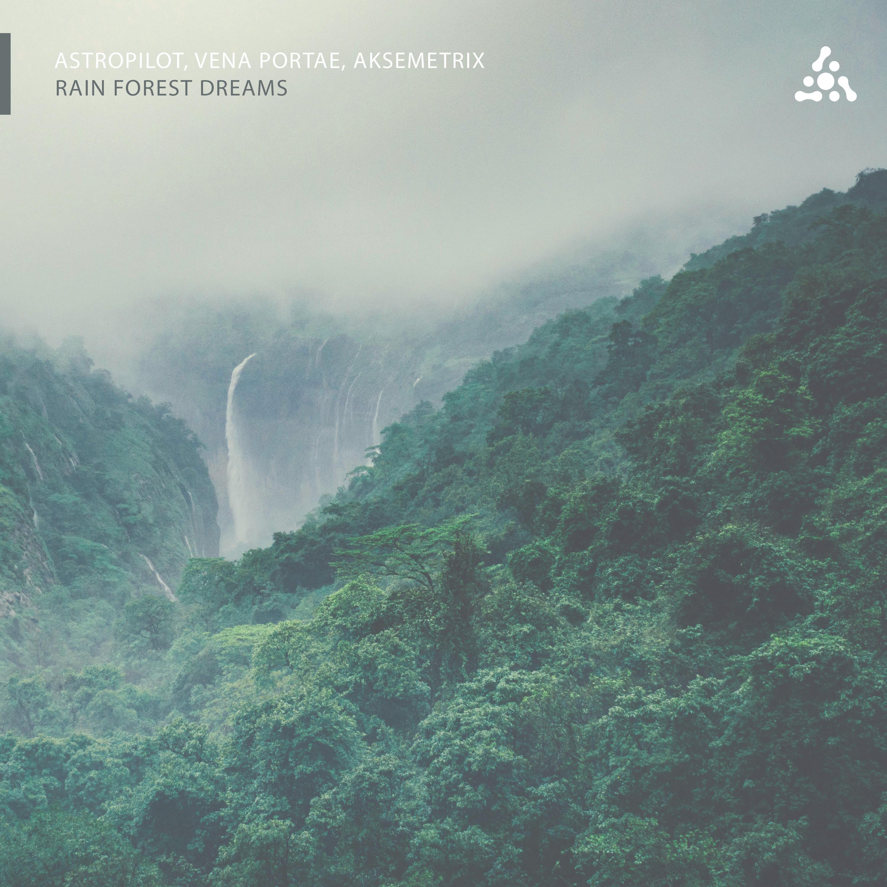 Rain Forest Dreams
