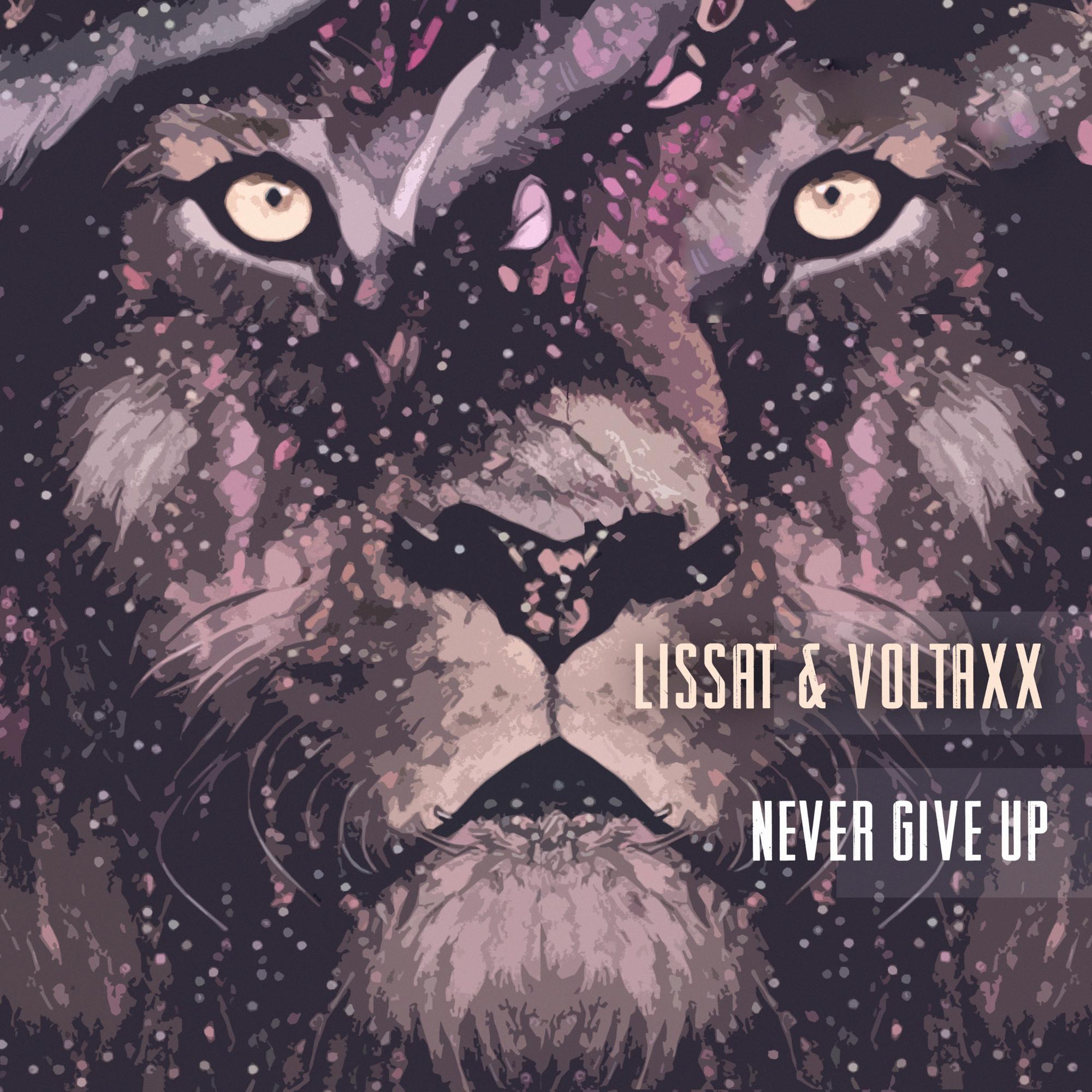 Never Give Up (Savin, Pushkarev Remix)