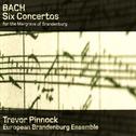 Bach: Six Concertos for the Margrave of Brandenburg专辑