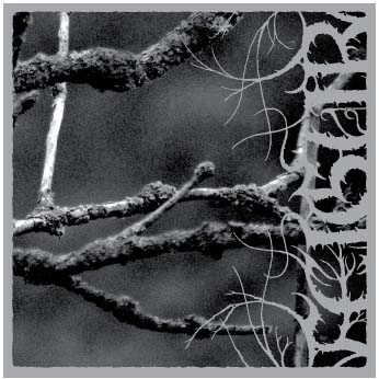 II,Desolation