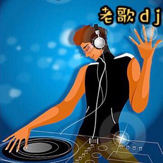 【车载】开车犯困必听中文老歌dj