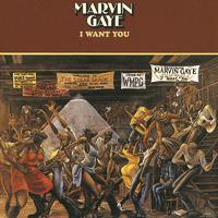 Marvin Gaye, - I Want You (karaoke Version)